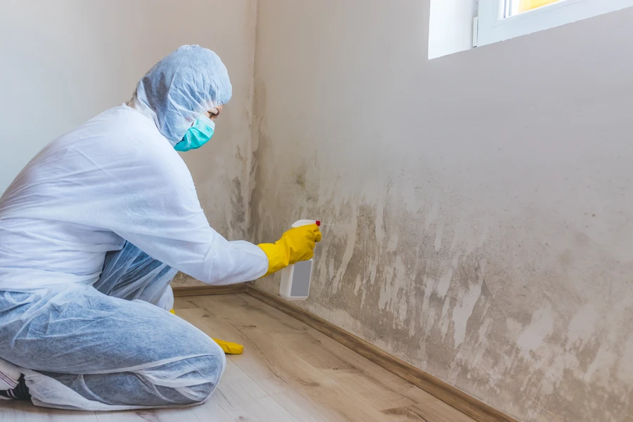 Superior Mold Remediation Services Mesa, AZ